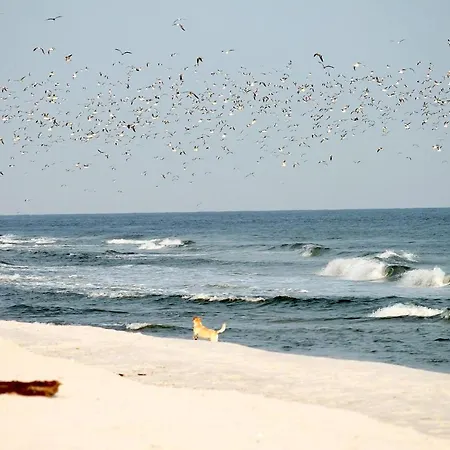 Appartement White Pearl 0.10 *