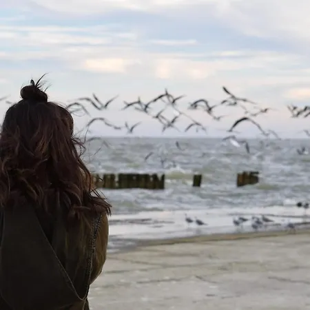 White Pearl 0.10 * טימנדורפר שטרנד