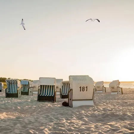 White Pearl 0.10 דירה